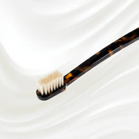 Classic Tortoiseshell